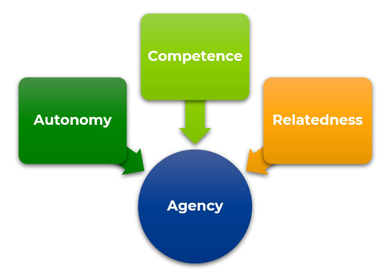 A graph shows three squares with the three basic psychological needs - autonomy, competence, and relatedness - with arrows pointing to a circle labeled as agency.