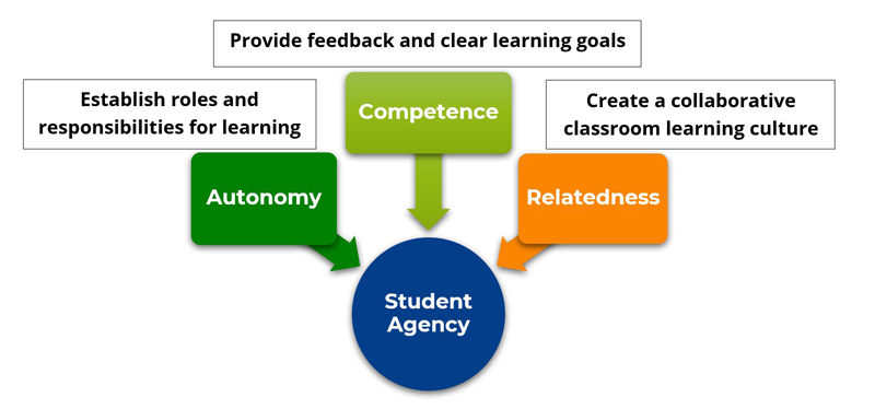 The same graph from Figure 1 now includes the three teaching practices that build student agency.